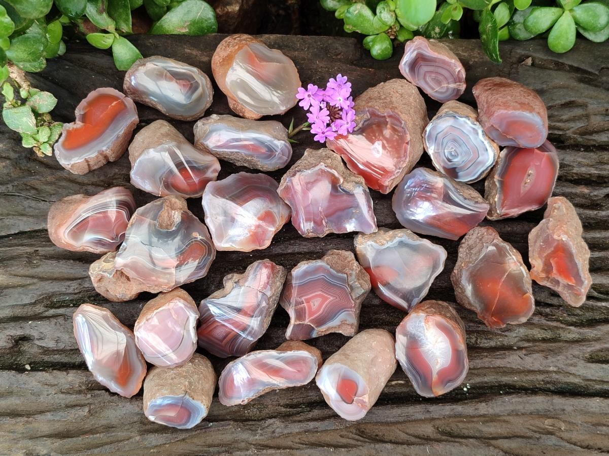 Polished On One Side Red Shashe River Agate Nodules x 35 From Shashe River, Zimbabwe