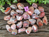 Polished On One Side Red Shashe River Agate Nodules x 35 From Shashe River, Zimbabwe