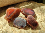 Polished On One Side Red Shashe River Agate Nodules x 35 From Shashe River, Zimbabwe