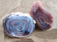 Polished On One Side Red Shashe River Agate Nodules x 35 From Shashe River, Zimbabwe