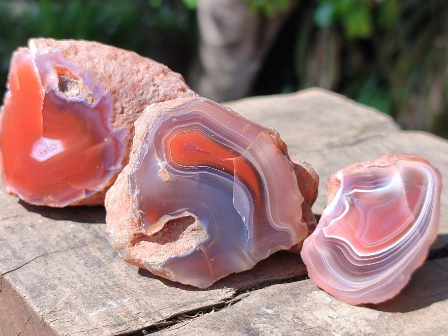 Polished On One Side Red Shashe River Agate Nodules x 35 From Shashe River, Zimbabwe