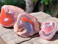 Polished On One Side Red Shashe River Agate Nodules x 35 From Shashe River, Zimbabwe