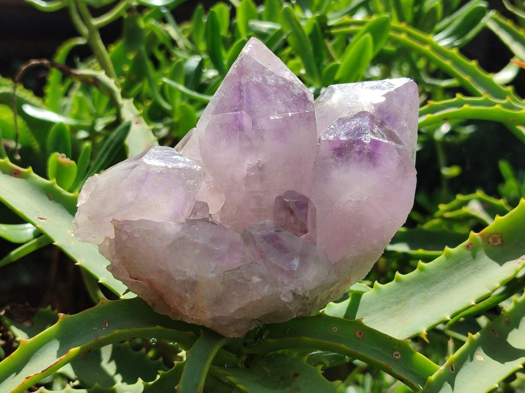 Polished Jacaranda Amethyst Crystals and Clusters x 8 From Mumbwa, Zambia