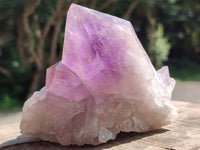 Polished Jacaranda Amethyst Crystals and Clusters x 8 From Mumbwa, Zambia