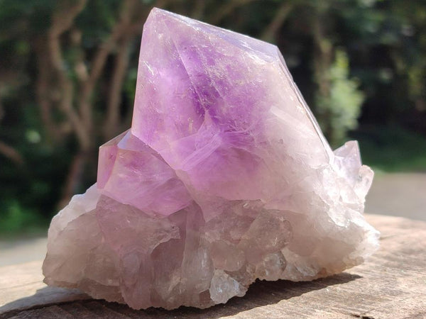 Polished Jacaranda Amethyst Crystals and Clusters x 8 From Mumbwa, Zambia