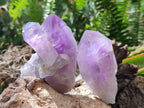 Polished Jacaranda Amethyst Crystals and Clusters x 8 From Mumbwa, Zambia