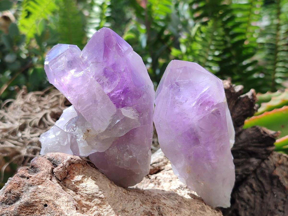 Polished Jacaranda Amethyst Crystals and Clusters x 8 From Mumbwa, Zambia
