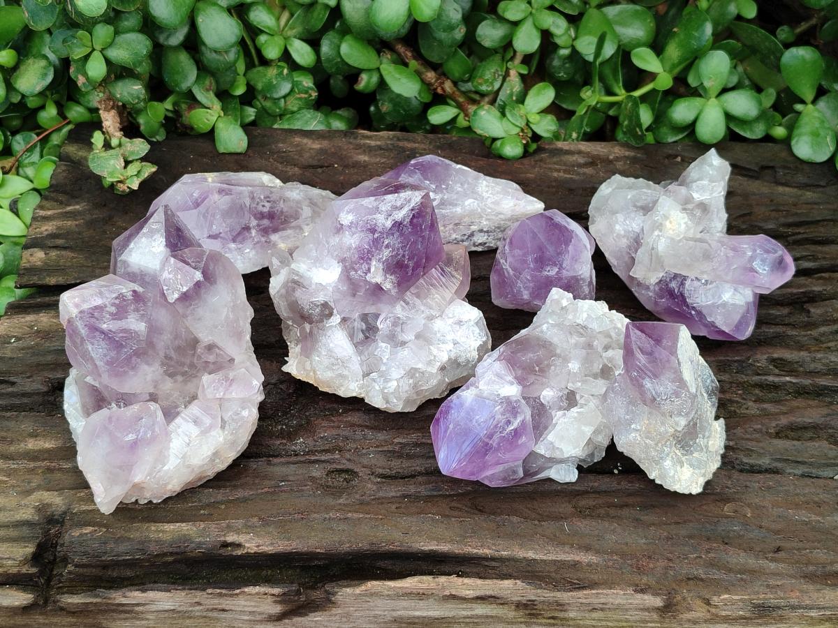 Polished Jacaranda Amethyst Crystals and Clusters x 8 From Mumbwa, Zambia