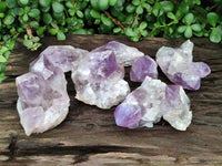 Polished Jacaranda Amethyst Crystals and Clusters x 8 From Mumbwa, Zambia