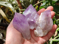 Polished Jacaranda Amethyst Crystals and Clusters x 8 From Mumbwa, Zambia