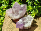 Polished Jacaranda Amethyst Crystals and Clusters x 8 From Mumbwa, Zambia