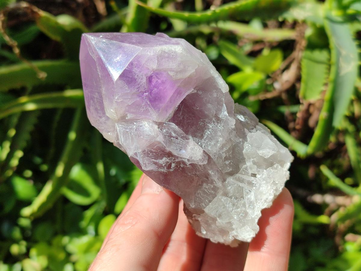 Polished Jacaranda Amethyst Crystals and Clusters x 8 From Mumbwa, Zambia