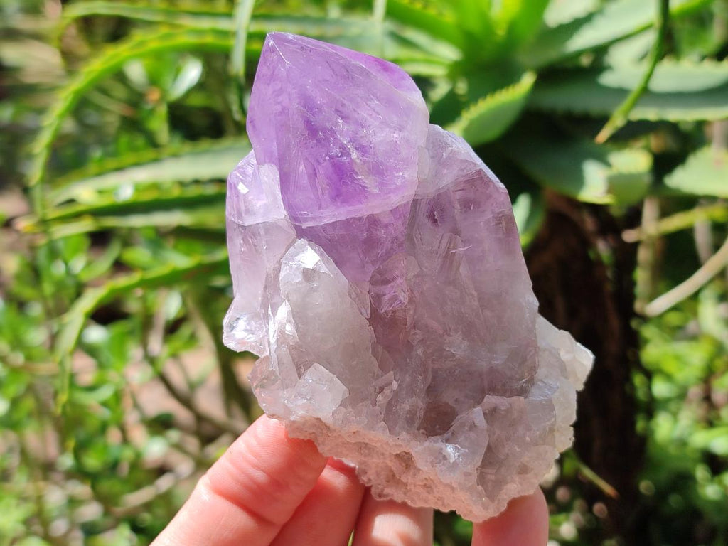Polished Jacaranda Amethyst Crystals and Clusters x 8 From Mumbwa, Zambia