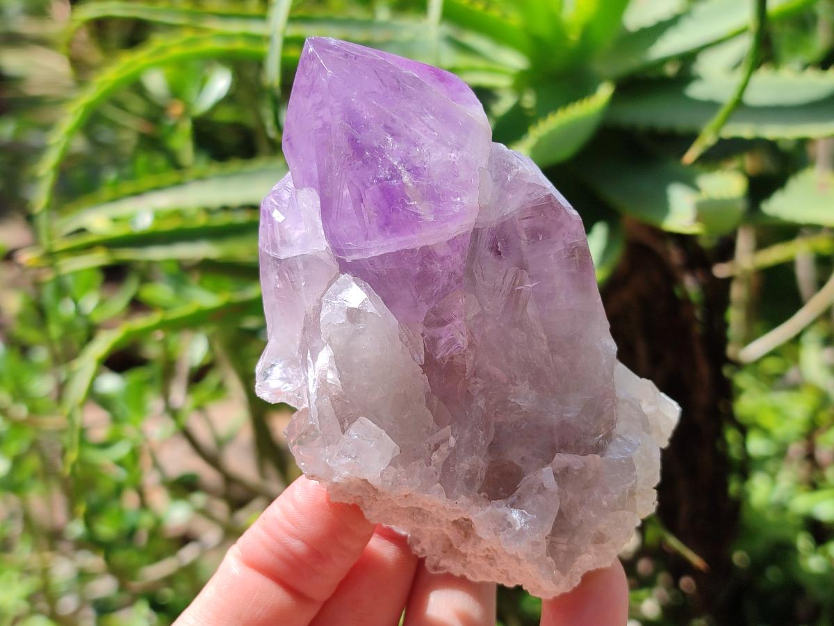 Polished Jacaranda Amethyst Crystals and Clusters x 8 From Mumbwa, Zambia