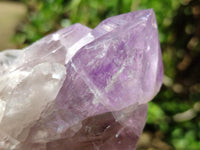 Polished Jacaranda Amethyst Crystals and Clusters x 8 From Mumbwa, Zambia