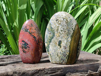 Polished Ocean Jasper Standing Free Form x 2 From Northwest Coast, Madagascar