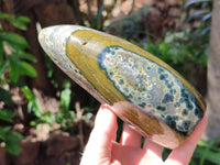 Polished Ocean Jasper Standing Free Form x 2 From Northwest Coast, Madagascar