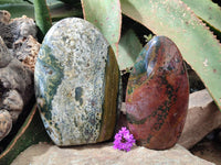 Polished Ocean Jasper Standing Free Form x 2 From Northwest Coast, Madagascar