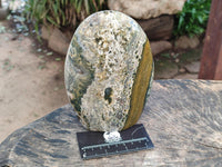 Polished Ocean Jasper Standing Free Form x 2 From Northwest Coast, Madagascar