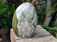 Polished Ocean Jasper Standing Free Form x 2 From Northwest Coast, Madagascar