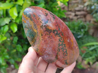 Polished Ocean Jasper Standing Free Form x 2 From Northwest Coast, Madagascar