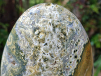 Polished Ocean Jasper Standing Free Form x 2 From Northwest Coast, Madagascar
