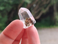 Polished Chlorite Quartz Moss Crystals x 110 From Mandoto, Madagascar