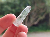 Polished Chlorite Quartz Moss Crystals x 110 From Mandoto, Madagascar