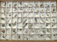 Polished Chlorite Quartz Moss Crystals x 110 From Mandoto, Madagascar