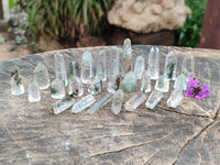 Polished Chlorite Quartz Moss Crystals x 110 From Mandoto, Madagascar