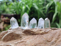 Polished Chlorite Quartz Moss Crystals x 110 From Mandoto, Madagascar