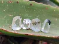 Polished Chlorite Quartz Moss Crystals x 110 From Mandoto, Madagascar