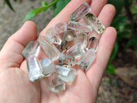 Polished Chlorite Quartz Moss Crystals x 110 From Mandoto, Madagascar