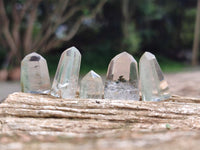 Polished Chlorite Quartz Moss Crystals x 110 From Mandoto, Madagascar