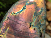 Polished Rare Purple Sunset Flash Labradorite Standing Free Forms x 3 From Tulear, Madagascar