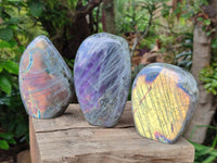 Polished Rare Purple Sunset Flash Labradorite Standing Free Forms x 3 From Tulear, Madagascar