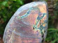 Polished Rare Purple Sunset Flash Labradorite Standing Free Forms x 3 From Tulear, Madagascar