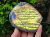 Polished Rare Purple Sunset Flash Labradorite Standing Free Forms x 3 From Tulear, Madagascar