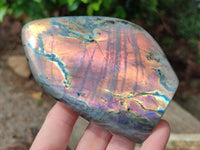 Polished Rare Purple Sunset Flash Labradorite Standing Free Forms x 3 From Tulear, Madagascar