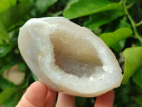 Polished Crystalline Agate Geodes x 6 From Maintirano, Madagascar