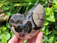 Polished Septerye Sauvage "Dragons Egg" Geodes x 2 From Mahajanga, Madagascar