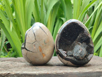 Polished Septerye Sauvage "Dragons Egg" Geodes x 2 From Mahajanga, Madagascar