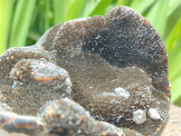 Polished Septerye Sauvage "Dragons Egg" Geodes x 2 From Mahajanga, Madagascar