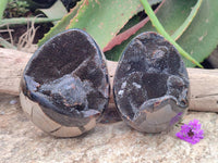 Polished Septerye Sauvage "Dragons Egg" Geodes x 2 From Mahajanga, Madagascar