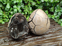Polished Septerye Sauvage "Dragons Egg" Geodes x 2 From Mahajanga, Madagascar