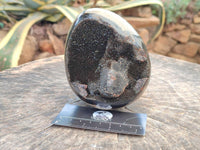 Polished Septerye Sauvage "Dragons Egg" Geodes x 2 From Mahajanga, Madagascar