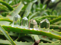 Polished Clear Smokey Citrine Window Quartz Crystals x 41 From Madagascar