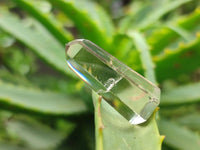 Polished Clear Smokey Citrine Window Quartz Crystals x 41 From Madagascar