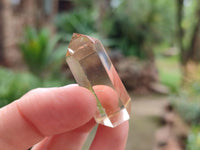 Polished Clear Smokey Citrine Window Quartz Crystals x 41 From Madagascar
