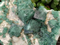 Natural Green Fluorite Cluster Specimens x 2 From Mandrosonoro, Madagascar